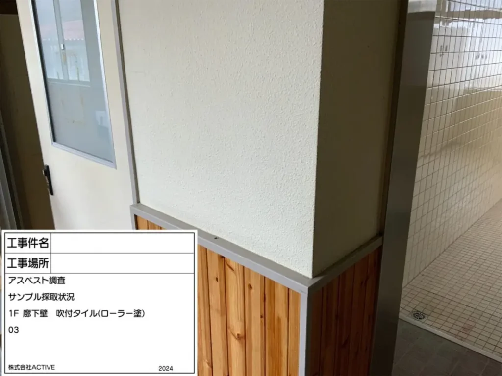 検体分析コース